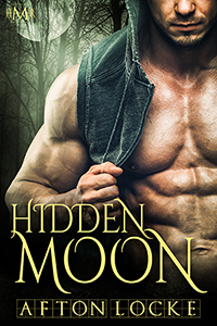 Hidden Moon cover